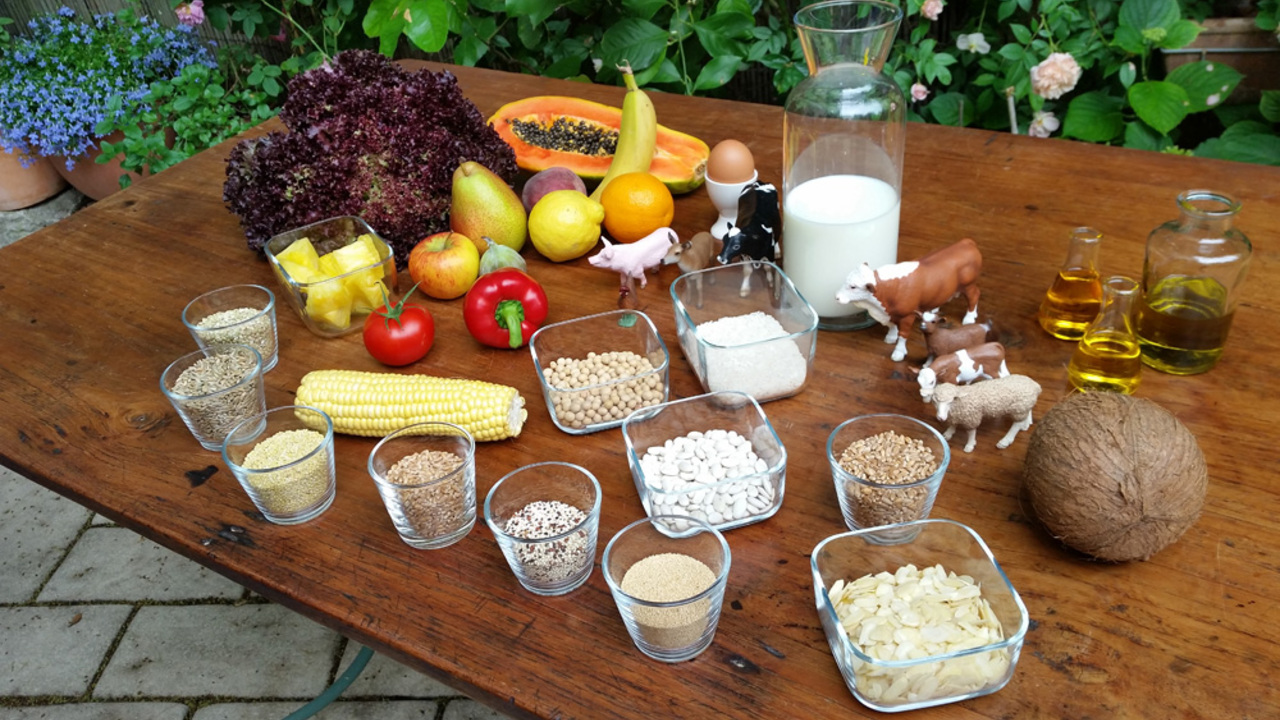 Brave New Nutrition: The Fear of Wheat, Milk & Co., Bild 1